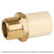 Adaptador Macho con Inserto Metálico 1″ FOSET