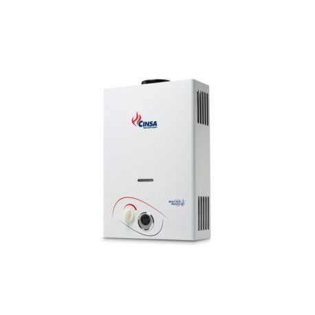 Boiler Calentón de Paso Marca CINSA 1 Servicio